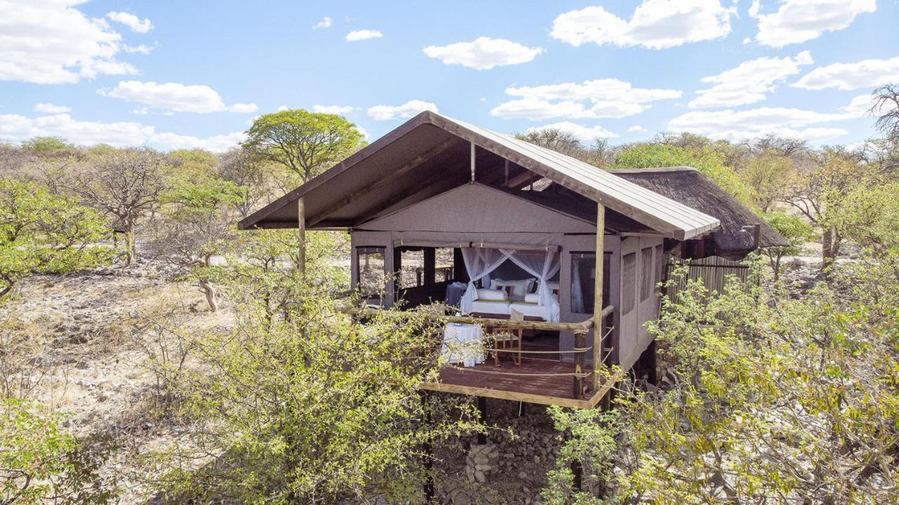 Eagle Tented Lodge & Spa โอเคาเควโย ภายนอก รูปภาพ