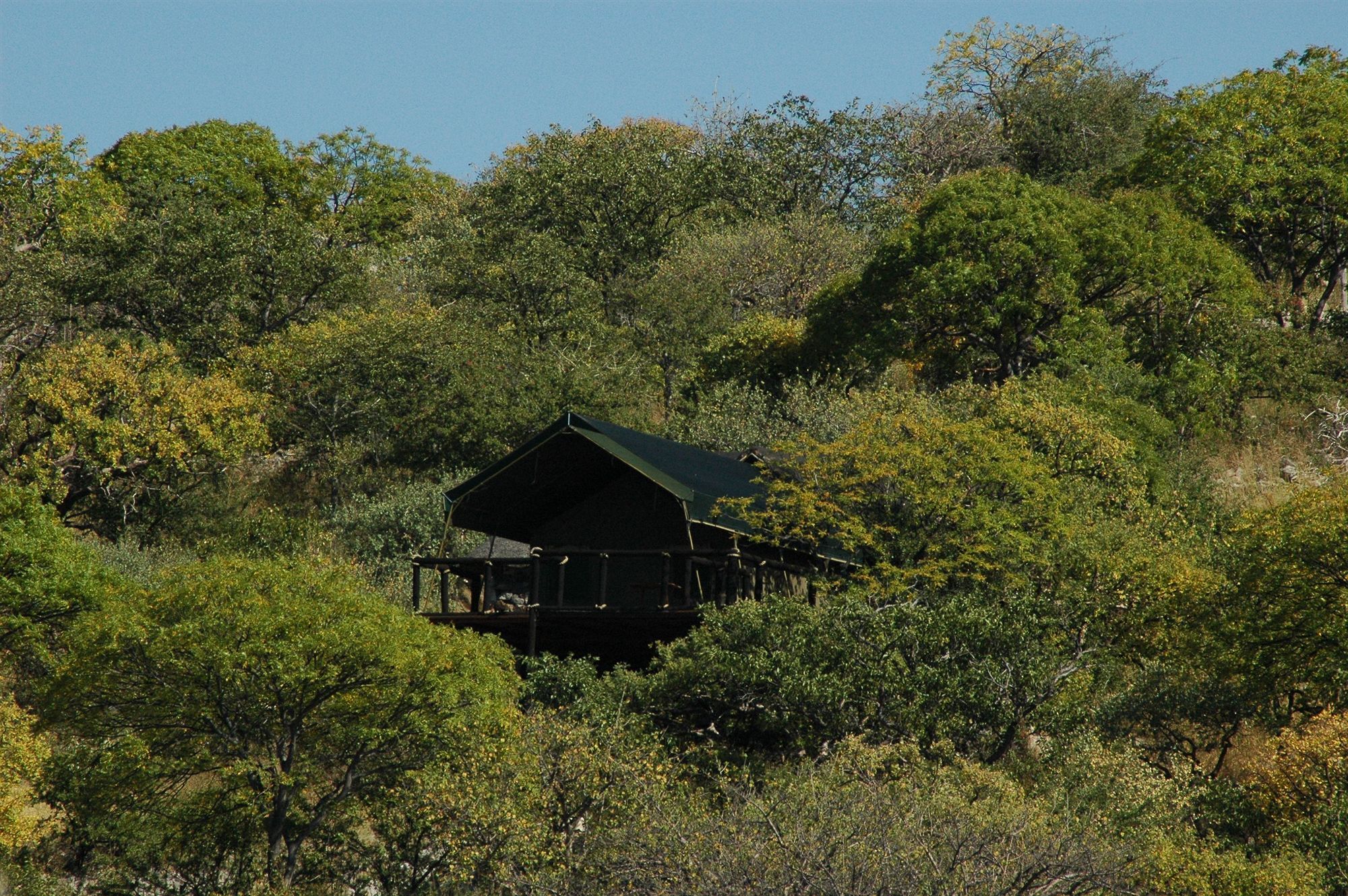 Eagle Tented Lodge & Spa โอเคาเควโย ภายนอก รูปภาพ